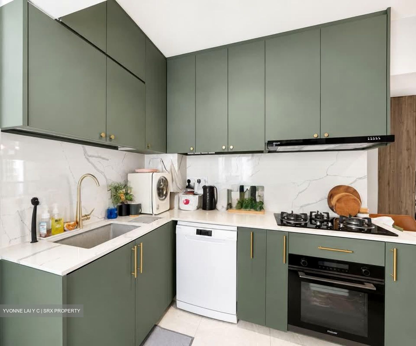 Blk 107A Alkaff Oasis (Toa Payoh), HDB 3 Rooms #583933871